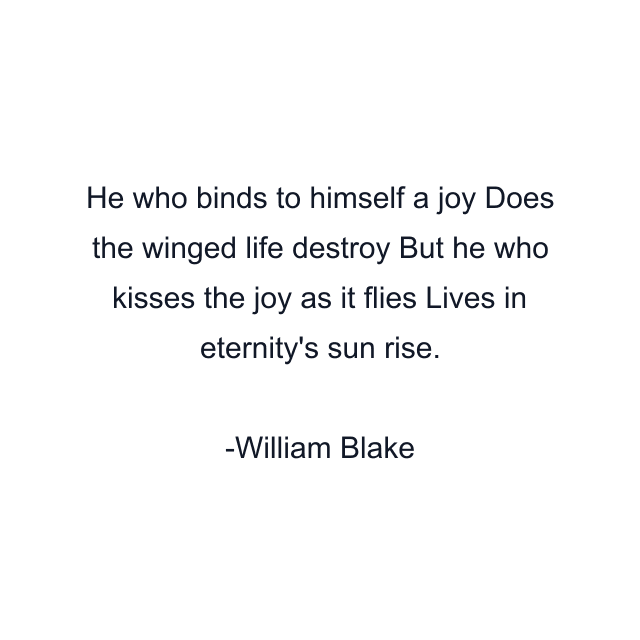 He who binds to himself a joy Does the winged life destroy But he who kisses the joy as it flies Lives in eternity's sun rise.