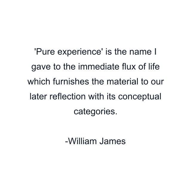 'Pure experience' is the name I gave to the immediate flux of life which furnishes the material to our later reflection with its conceptual categories.