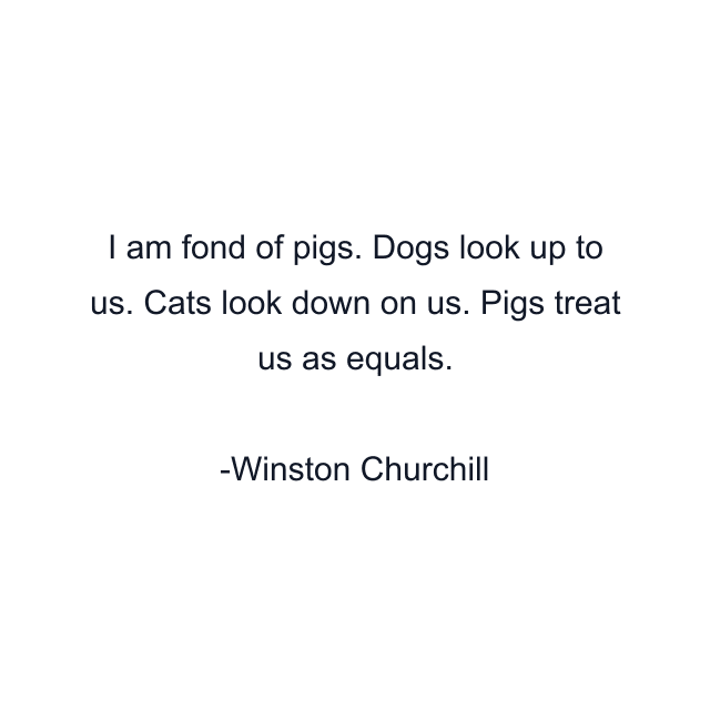 I am fond of pigs. Dogs look up to us. Cats look down on us. Pigs treat us as equals.