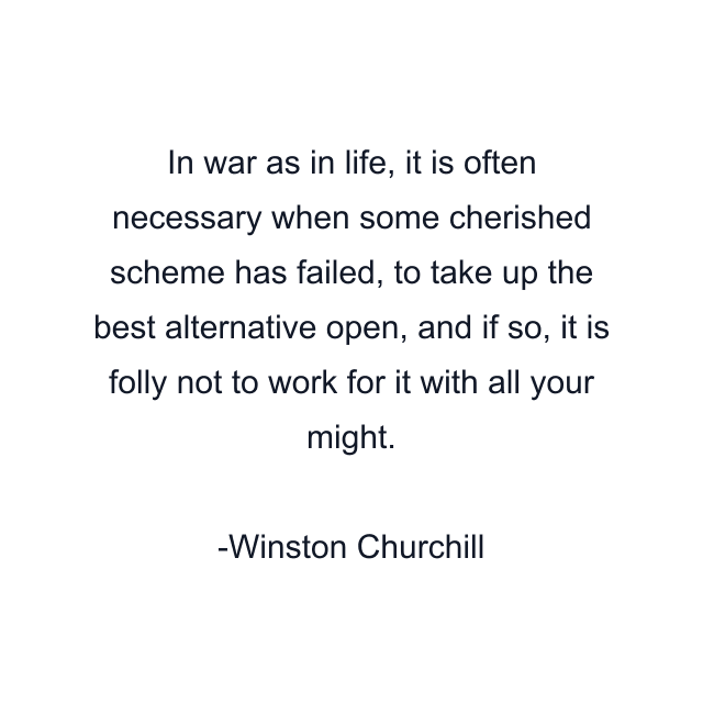 In war as in life, it is often necessary when some cherished scheme has failed, to take up the best alternative open, and if so, it is folly not to work for it with all your might.