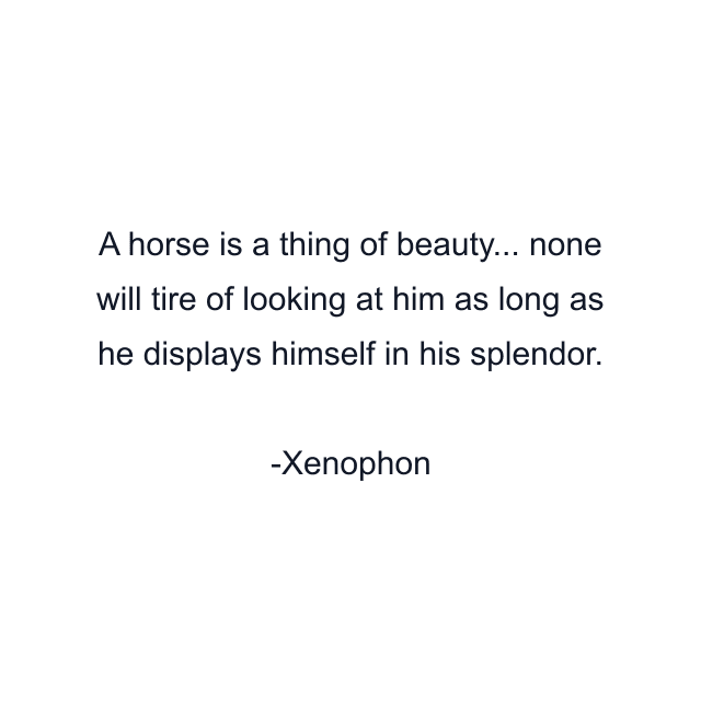 A horse is a thing of beauty... none will tire of looking at him as long as he displays himself in his splendor.