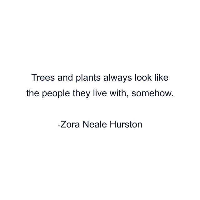 Trees and plants always look like the people they live with, somehow.