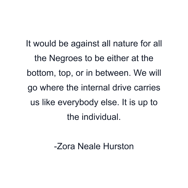 It would be against all nature for all the Negroes to be either at the bottom, top, or in between. We will go where the internal drive carries us like everybody else. It is up to the individual.