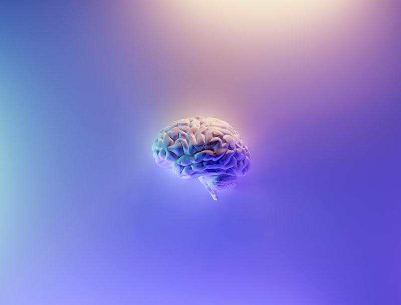AI tools for learning programming